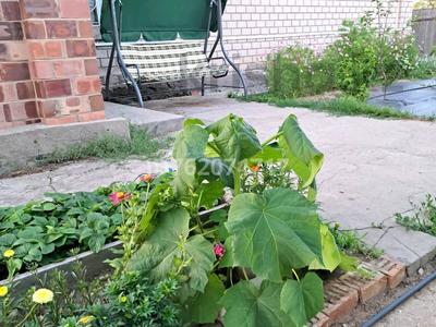 Отдельный дом · 5 комнат · 132 м² · 14 сот., Жанибек-Керей за 40 млн 〒 в Павлодарском