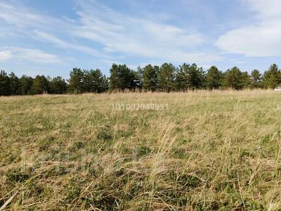 Участок · 58 соток, Ударник луговая-12 67 за 34.8 млн ₸ в Кокшетау