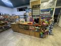 Продуктовый Магазин · 162 м² за 18 млн ₸ в Астане, Есильский р-н — фото 5