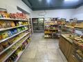 Продуктовый Магазин · 162 м² за 18 млн ₸ в Астане, Есильский р-н — фото 6