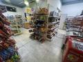 Продуктовый Магазин · 162 м² за 18 млн ₸ в Астане, Есильский р-н — фото 10