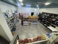 Продуктовый Магазин · 162 м² за 18 млн ₸ в Астане, Есильский р-н — фото 12