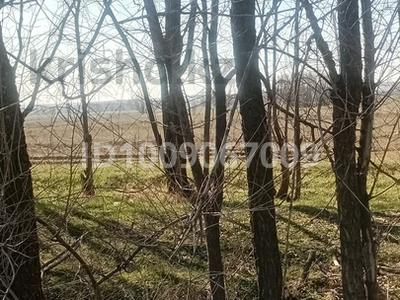 Жер телімі · 7 сотық, Центральная, бағасы: 4.9 млн ₸ в Арае