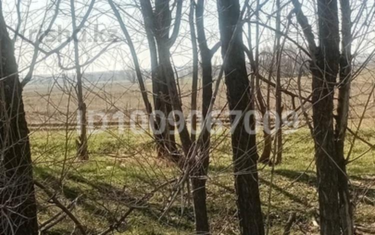 Жер телімі · 7 сотық, Центральная, бағасы: 4.9 млн ₸ в Арае — фото 3