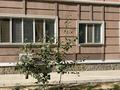 1-бөлмелі пәтер · 43 м² · 1/9 қабат, Мкр-н Туран 2 36А, бағасы: 17 млн ₸ в Шымкенте, Туран р-н — фото 2
