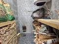 Отдельный дом · 3 комнаты · 158.2 м² · 12 сот., Арасан за 150 млн ₸ в Аршалы — фото 6