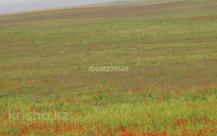 Участок · 400 га, Алматинская обл. за 200 млн ₸ — фото 2