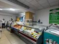 Готовый бизнес · 734.1 м² за 257.5 млн ₸ в Экибастузе — фото 16
