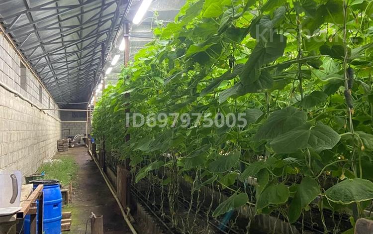 Сельское хозяйство · 400 м² за 33 млн ₸ в Усть-Каменогорске — фото 2