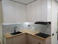 2-бөлмелі пәтер · 45 м² · 5/13 қабат, Муратбаева 14 — Макатаева, бағасы: 330 000 ₸ в Алматы, Алмалинский р-н — фото 9