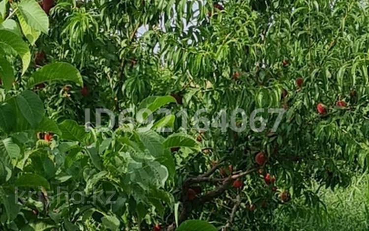 Сельское хозяйство • 15000 м² за 160 млн 〒 в Касымбек датка — фото 2