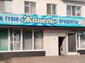 Магазины и бутики · 166.7 м² за 65 млн ₸ в Петропавловске