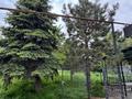 Кеңселер · 260 м², бағасы: 2 млн ₸ в Алматы, Медеуский р-н — фото 5
