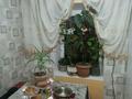 Дом · 4 комнаты · 100 м², Аксукент Ақ бұлақ 37 за 50 000 〒 в Шымкенте — фото 2