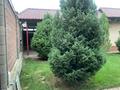 Отдельный дом · 5 комнат · 400 м² · 8 сот., Достык за 220 млн ₸ в  — фото 17