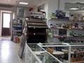 Магазины и бутики • 353 м² за 167 млн 〒 в Астане, Сарыарка р-н — фото 10