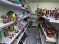 Продуктовый магазин · 67 м² за 8 млн ₸ в Алматы, Наурызбайский р-н — фото 10
