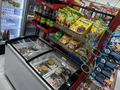 Продуктовый магазин · 67 м² за 8 млн ₸ в Алматы, Наурызбайский р-н — фото 13