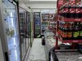 Продуктовый магазин · 67 м² за 8 млн ₸ в Алматы, Наурызбайский р-н — фото 15
