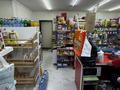 Продуктовый магазин · 67 м² за 8 млн ₸ в Алматы, Наурызбайский р-н — фото 17