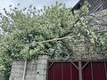 Дача · 3 комнаты · 100 м² · 15 сот., 2 11 — Шайкорган за 20 млн ₸ в Талдыкоргане — фото 10