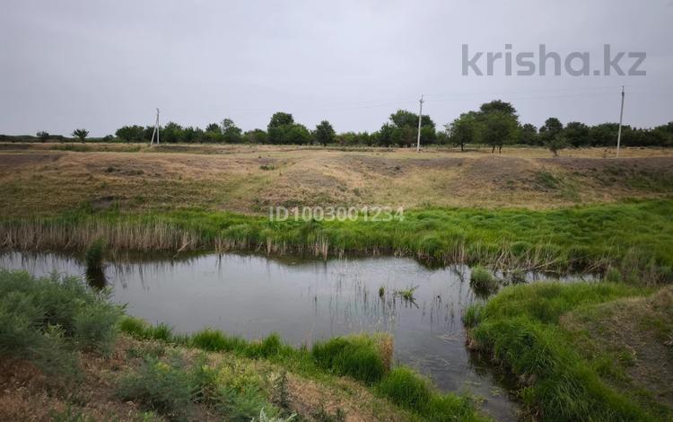 Участок · 19.4 га, Кульджинский тракт за 85 млн 〒 в  — фото 7