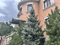 Отдельный дом · 7 комнат · 460 м² · 12 сот., Смоленская 20 за 350 млн ₸ в Семее — фото 4