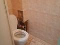 2-бөлмелі пәтер · 54 м² · 3/5 қабат, Аса ш/а. 16, бағасы: 80 000 ₸ в Таразе, мкр Аса — фото 4