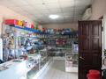 Магазины и бутики • 202 м² за 37 млн 〒 в Боралдае (Бурундай) — фото 2
