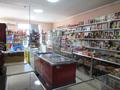 Магазины и бутики • 202 м² за 37 млн 〒 в Боралдае (Бурундай) — фото 5
