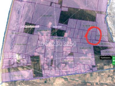 Участок · 50 га, Кызылкум Сарша Ералы — Подхоз за 100 млн 〒 в Курыке