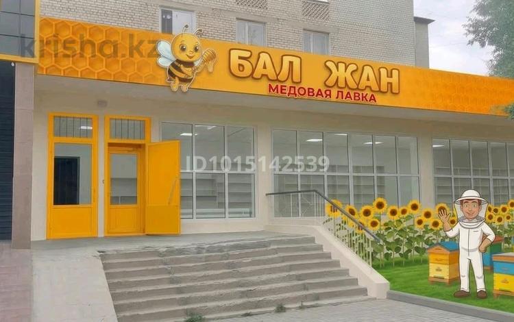 Свободное назначение, офисы, магазины и бутики, общепит, салоны красоты, фитнес и спорт, медцентры и аптеки, образование, развлечения, кабинеты и рабочие места, студии · 200 м² за 650 000 ₸ в Текели — фото 8