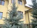 Отдельный дом · 6 комнат · 410 м² · 9.84 сот., мкр Карагайлы за 175 млн ₸ в Алматы, Наурызбайский р-н — фото 17