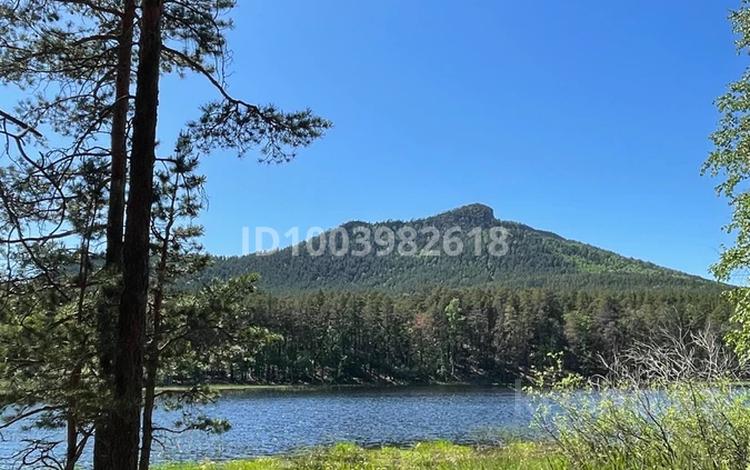 Жеке үй · 7 бөлме · 250 м², Подгорная, бағасы: 20 000 ₸ в Бурабае — фото 9