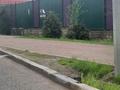 Участок 1 га, Байтерекова за 550 млн 〒 в Шымкенте, Каратауский р-н — фото 5