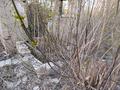 Дача · 1 комната · 10 м² · 6 сот., С/О Черемушки 382 за 450 000 ₸ в Петропавловске — фото 8