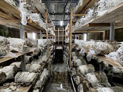 Жеке үй · 4 бөлме · 89 м² · 6 сот., Баребаева 105, бағасы: 85 млн 〒 в Каскелене