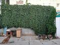 Отдельный дом · 4 комнаты · 64 м² · 5 сот., Жазыкова — Малышка за 19 млн ₸ в Актобе — фото 5