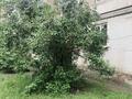 2-бөлмелі пәтер · 50 м² · 2/4 қабат, Койбакова 10 — Гидрокомплекс рядом, бағасы: 9.8 млн ₸ в Таразе — фото 16