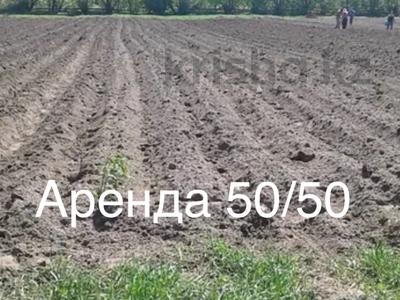 Промбаза · 1000 га, Участок 50 — Картофель за 300 000 〒 в Щучинске