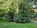 Участок · 90 соток, Достык за 2.6 млрд ₸ в Алматы, Медеуский р-н — фото 3