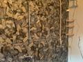 Бани, гостиницы и зоны отдыха · 800 м² за 400 млн ₸ в Астане, Есильский р-н — фото 3