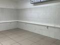 Еркін, қоғамдық тамақтану орны · 146.7 м², бағасы: 850 000 ₸ в Алматы, Ауэзовский р-н — фото 3