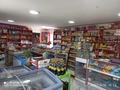 Жеке үй · 5 бөлме · 130 м² · 120 жүзд., Акниет, бағасы: 35 млн ₸ в Долане — фото 7