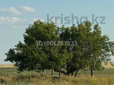 Отдельный дом · 3 комнаты · 70 м² · 15 сот., Богембай аксу за 4.5 млн ₸ в Бестобе