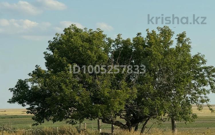 Жеке үй · 3 бөлме · 70 м² · 15 жүзд., Богембай аксу, бағасы: 4.5 млн ₸ в Бестобе — фото 4