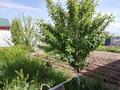 Жеке үй · 6 бөлме · 150 м² · 10 жүзд., ул. Сейфуллина 56, бағасы: 37 млн ₸ в  — фото 25
