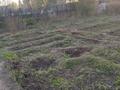 Дача · 1 комната · 12 м² · 12 сот., Яблоневая 29 за 6 млн ₸ в Павлодаре