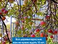 Саяжай · 3 бөлме · 72 м² · 12 сот., мкр Родники 1, бағасы: 17.9 млн ₸ в Алматы, Медеуский р-н — фото 16