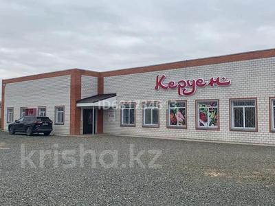 Еркін · 364.6 м², бағасы: 45 млн ₸ в Аксу